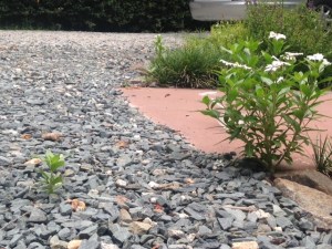 Be the one that survives